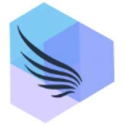 Angels Partners