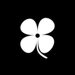 Ansvisor