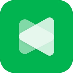 Anyvids