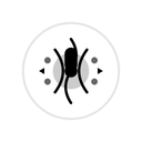 AnyVoice