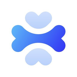 Apidog