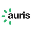Auris
