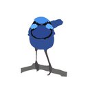 Avibase