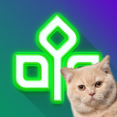 Bareksa