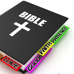 Bible in My Language