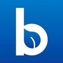 Blueleaf