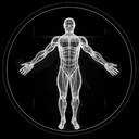 BodBot