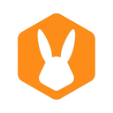 Bunny Studio