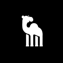 camelQA