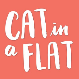 Cat in a Flat