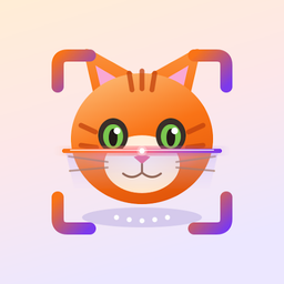Cat Scanner