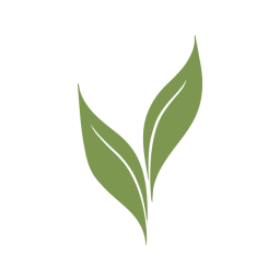 Church Renewal International