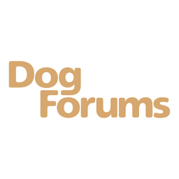 Dog Forums