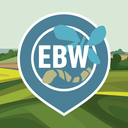 EBW