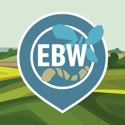 EBW