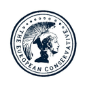 European Conservative