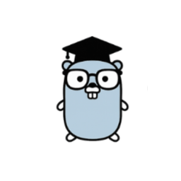 Golang College
