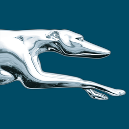 Greyhound