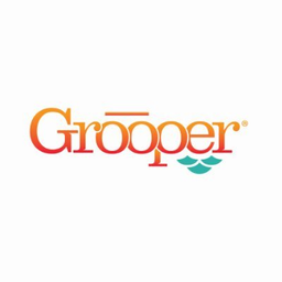 Grooper