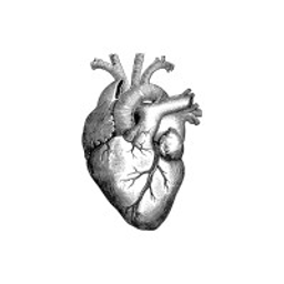 iCardio.ai
