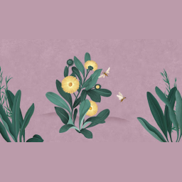 In Rhythm with Nature