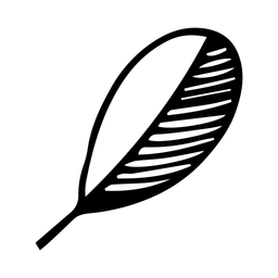 Indify