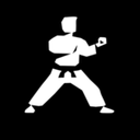 Karate Labs