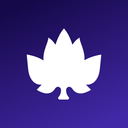 Maple