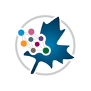 Maple Learn