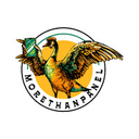 MoreThanPanel