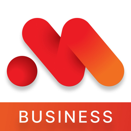 MSB Business