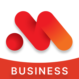 MSB Business