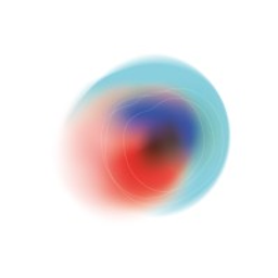 Neotype