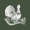 Охотники.ру