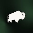 One Bison