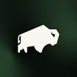 One Bison