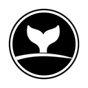 Orcai AI