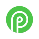 Payid19.com