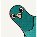 Pidgy