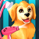 Become a Puppy Groomer