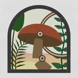 Shapes - Game for Mac, Windows (PC), Linux - WebCatalog