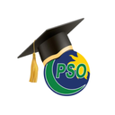 PSO Learning Academy