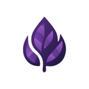 Purple Leaf