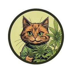 SeedKitty