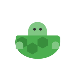Turtle Noir