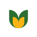 Urvann