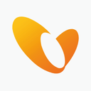 Vitel Global