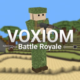 Voxiom.io