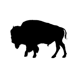 The Western Apparel