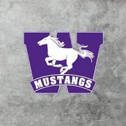Western Mustangs